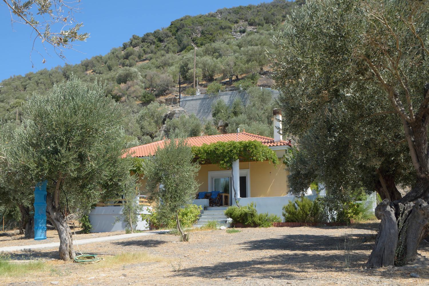 Melinda Holiday House Plomari Exteriör bild