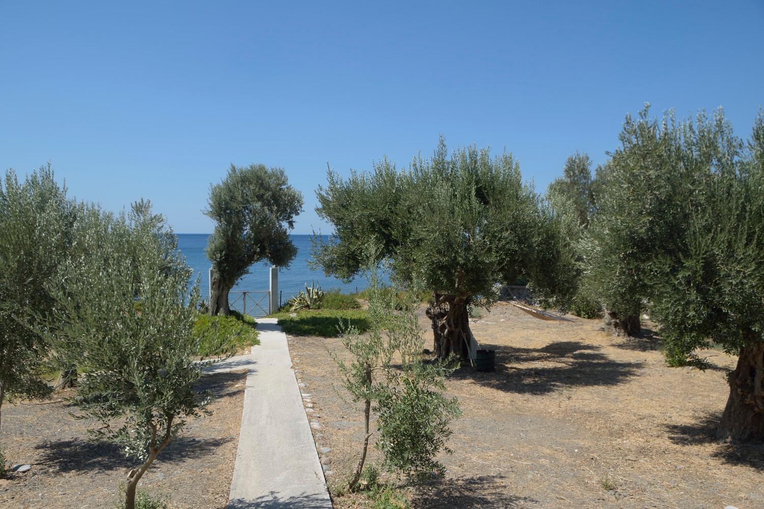 Melinda Holiday House Plomari Exteriör bild